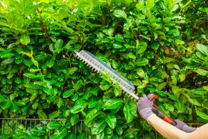 Keeping your property’s garden in top shape